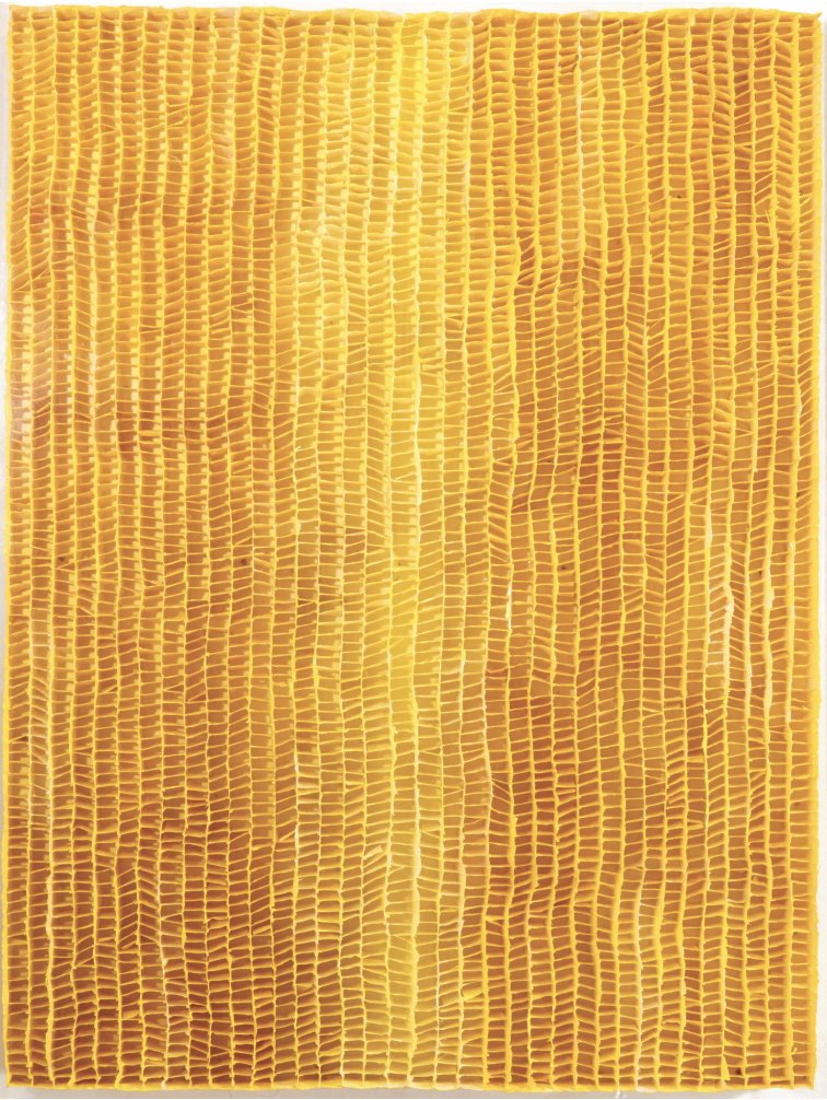 Paper Things #17, 2011, Hanji and acrylic, 90 x 70 cm