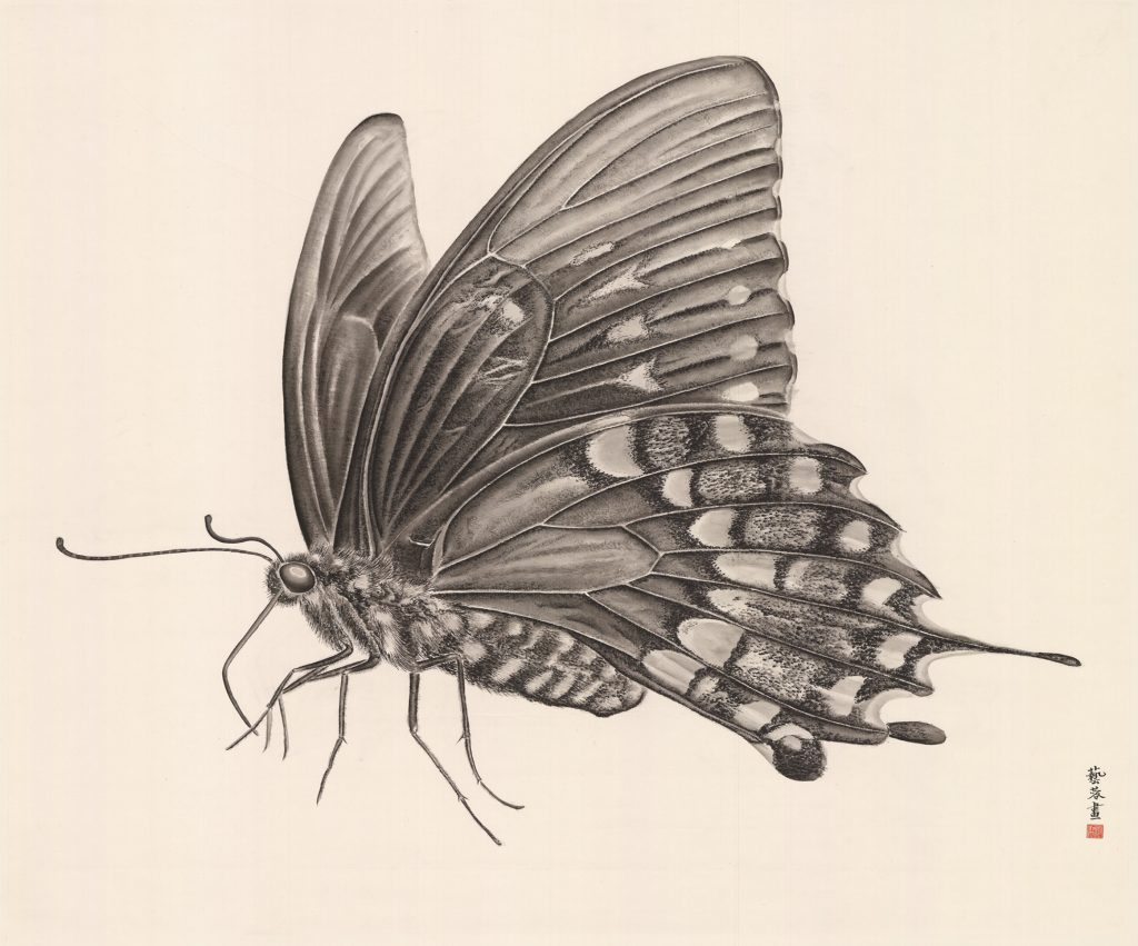 Women artists group show, Zhang Yirong, Butterfly, 2018,Chinese ink on rice paper,120x140cm