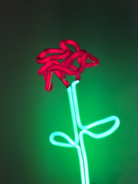 Image: 'Single Red Rose,' Jonathan Thomson, coloured neon, 51cm high, 2016.
