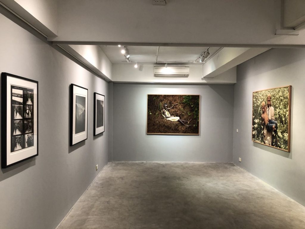 Large Format, Small Space at Pékin Fine Arts